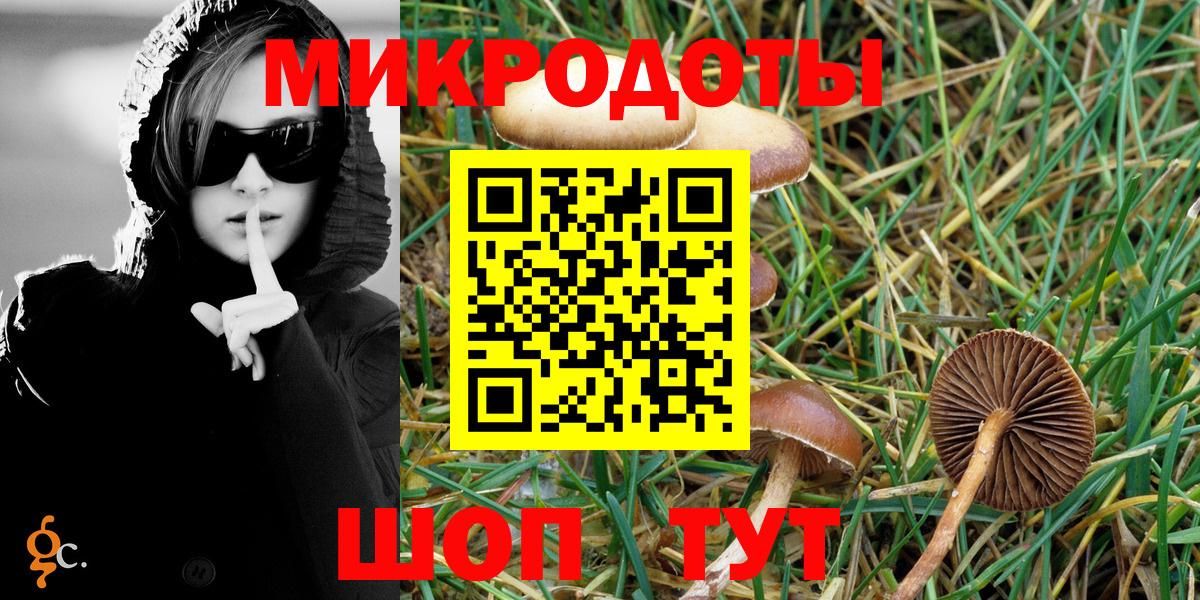 Псилоцибиновые грибы GOLDEN TEACHER  Вход с VPN  Гагарин  Псилоцибиновые грибы Psilocybine cubensis 