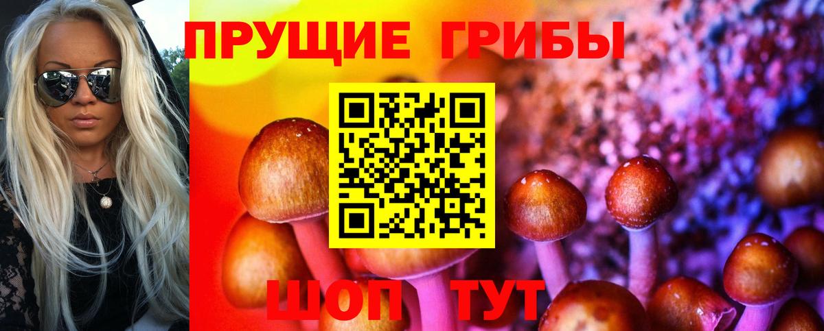 Галлюциногенные грибы мухоморы Гагарин